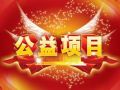 或调整或坚持 东莞市六成项目“曲线救国”  