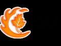 爱晚工程LOGO含义