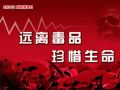 上海禁毒社会工作论坛8日在普陀区举行