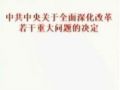 三中全会《决定》解读如何进一步发展基层民主