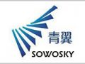 青翼社会工作人才服务中心（深圳办）招聘启事