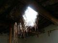 新疆自治区伊犁发生雪灾 民政厅开展救灾工作
