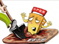 国土资源部长：小产权房处置28省份已出方案