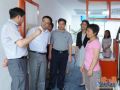2013年度“中国最美社工”胡新花