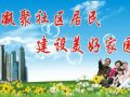 佛山“城乡社区建设提升年” 专业社工服务村居