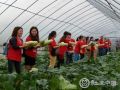 重庆江津阳光社工中心关爱社区老人送蔬菜活动