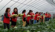 重庆江津阳光社工中心关爱社区老人送蔬菜活动
