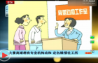 北京卫视：夫妻离婚将有专业机构劝和（视频）