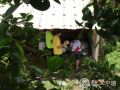 岭南师范学院凝夏三下乡实践队助教活动