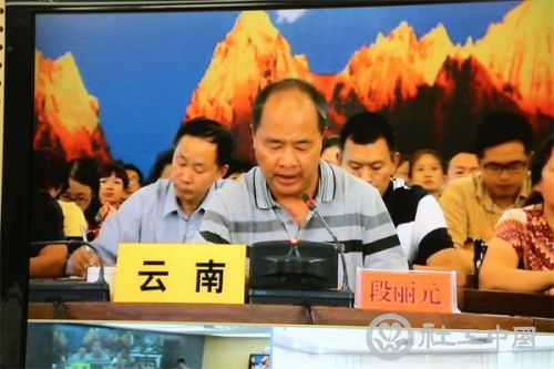 云南省民政厅厅长段丽元发言