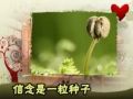因为深信 所以坚持