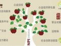 社会组织孵化采取什么策略
