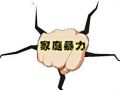 关于依法办理家庭暴力犯罪案件的意见