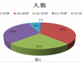 中部新兴城市志愿服务体系研究——以芜湖为例