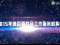 2015年度百强社工服务机构