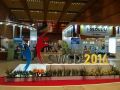 2016世界社工大会上的中国身影