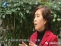 社工：身边的“社会医生”