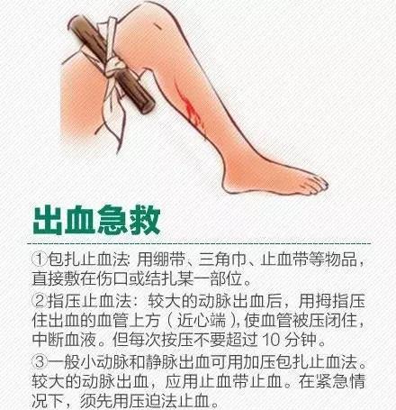 微信图片_20170626094417