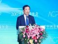 刘京：大众、多元、线上——新时代中国公益生态