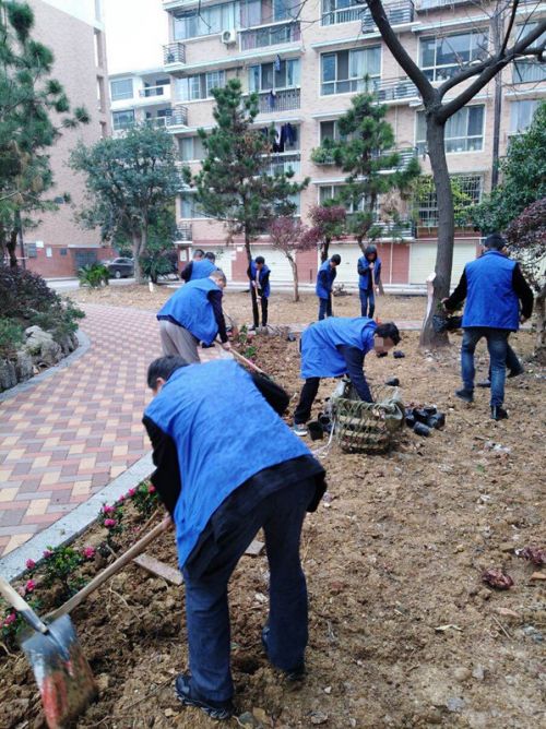 义务植树护绿