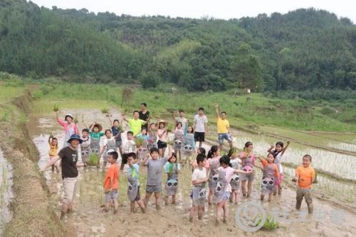 微信图片_20190719091103