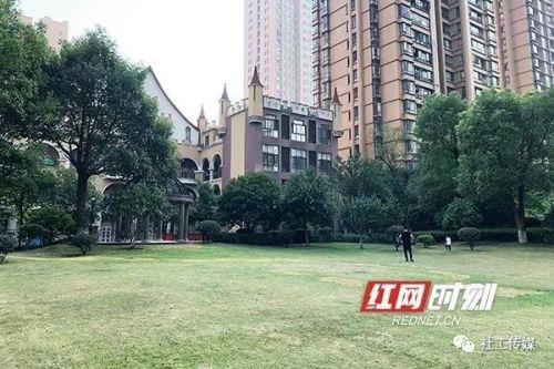 微信图片_20191017092544