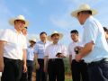李纪恒：凝心聚力、攻坚克难 高质量做好收官之年定点扶贫工作