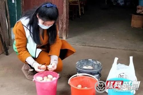 微信图片_20201203101033