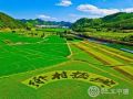 “国家乡村振兴局”成立 从脱贫攻坚到乡村振兴90万社会组织大有可为