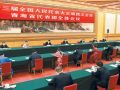 习近平在参加青海代表团审议时强调 坚定不移走高质量发展之路 坚定不移增进民生福祉