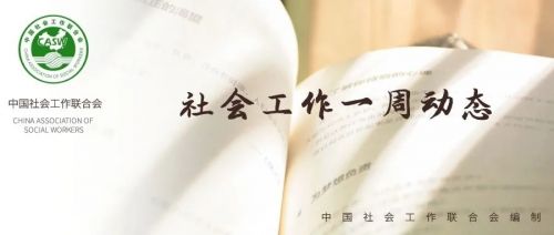 动态正文