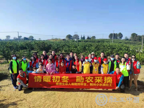图片3