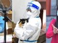 幕幕皆温情，社会工作服务机构组织“疫”线志愿者带去“别样”关爱