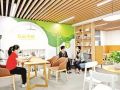 “中央财政支持社会组织参与社会服务项目”10年述评
