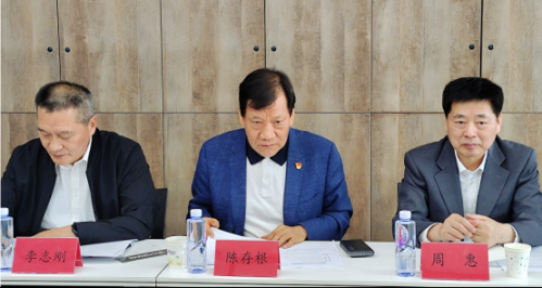 陈会长调研宁夏社联稿子559